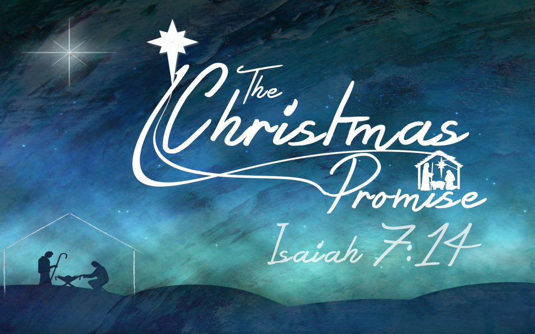 The Christmas Promise