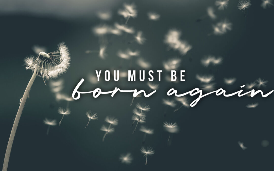 You Must Be Born Again – Mike Cloud